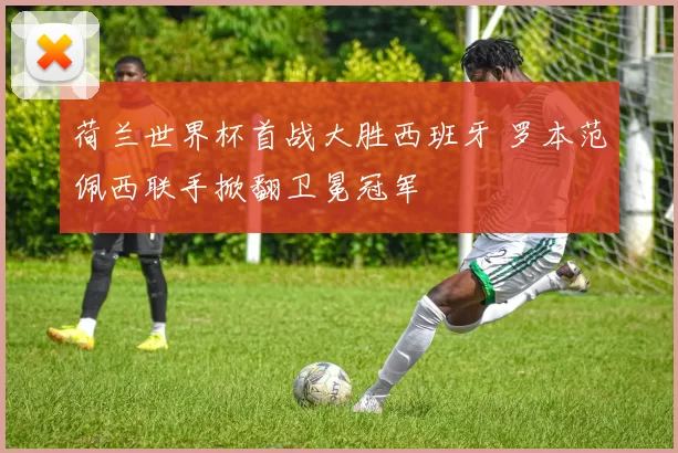 荷兰世界杯首战大胜西班牙 罗本范佩西联手掀翻卫冕冠军