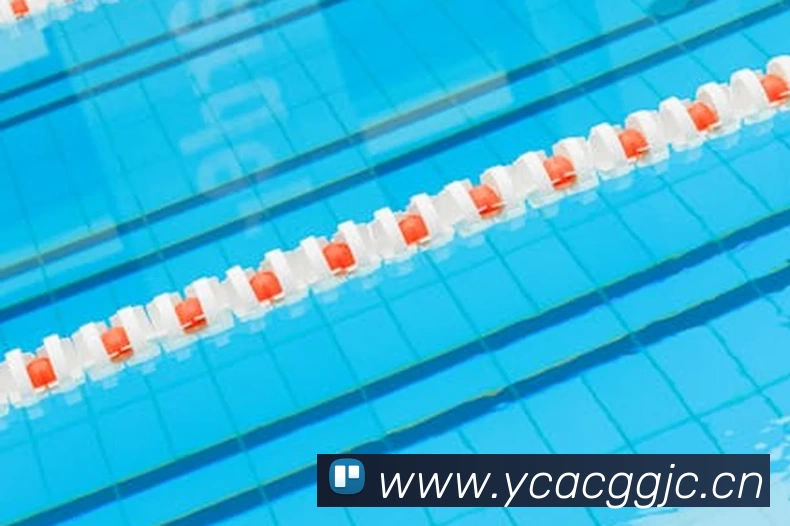 尊龙凯时人生就是搏·(中国区)官方网站发展历程